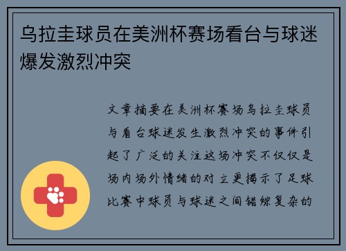 乌拉圭球员在美洲杯赛场看台与球迷爆发激烈冲突